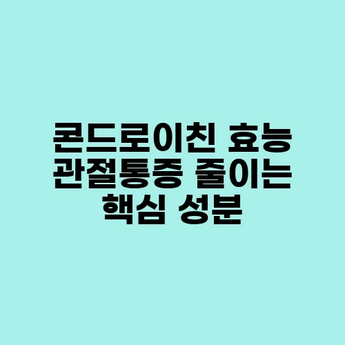 콘드로이친 효능 관절통증 줄이는 핵심 성분
