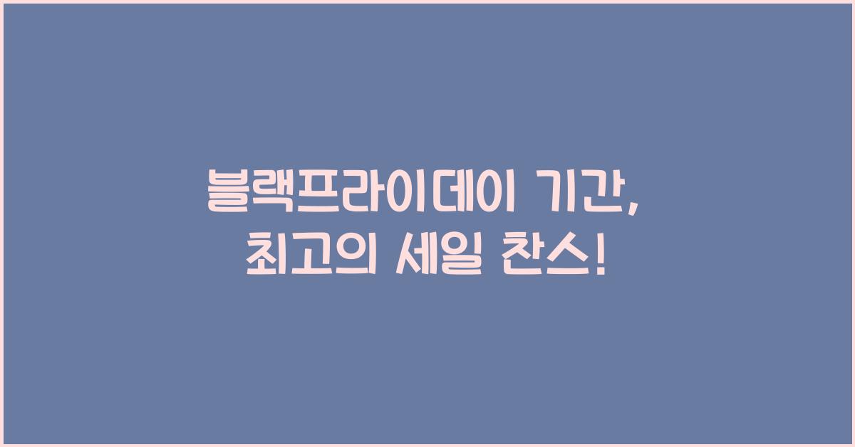 블랙프라이데이 기간