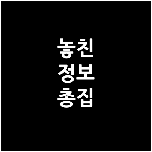 종로 효자동 일반·재활용 쓰레기 배출..