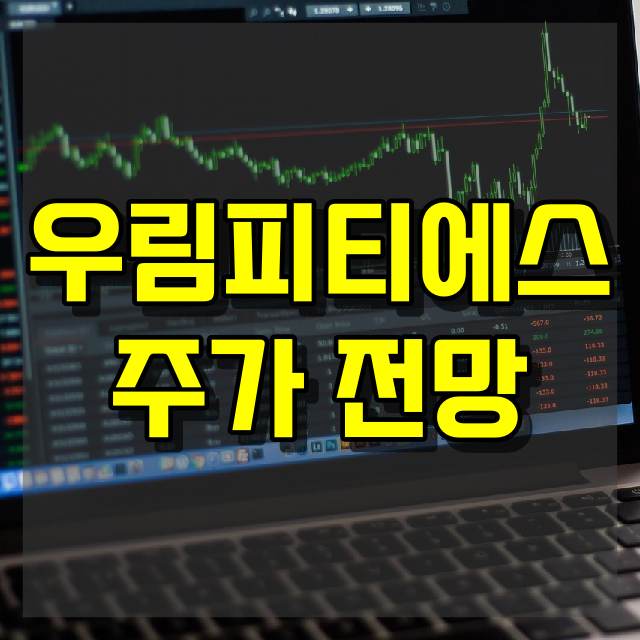 우림피티에스 주가 전망
