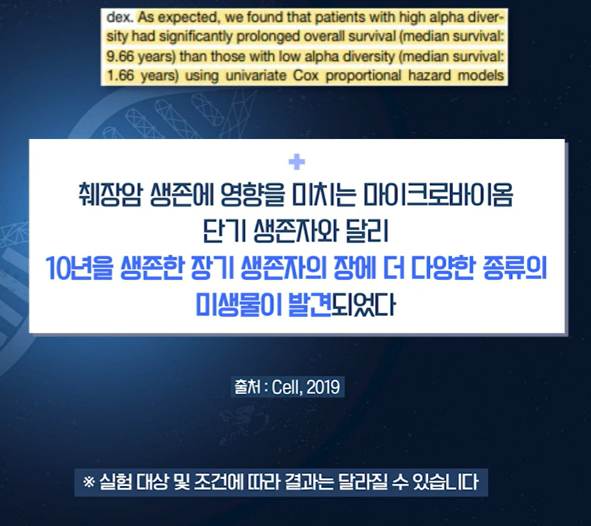 혈당 유산균