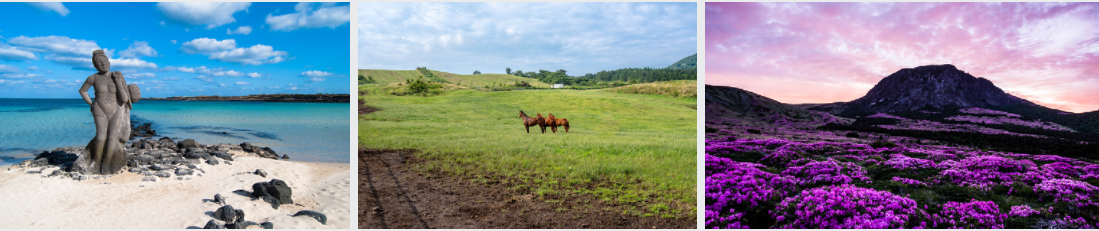 kkday 12월 할인코드 제주여행 할인코드
