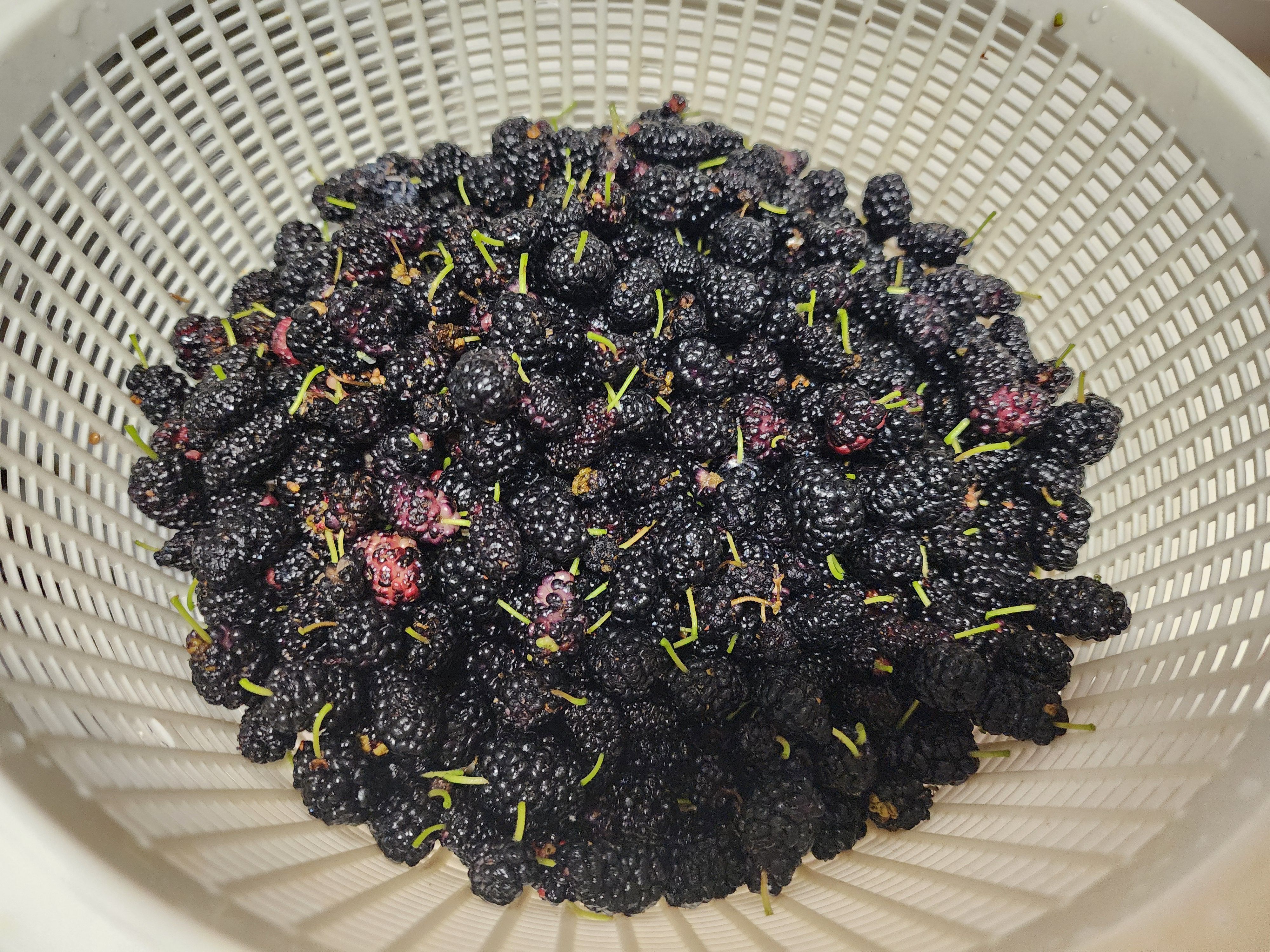 오디잼 만드는 방법, 제철 오디쨈 만들기