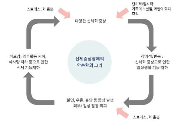 신체증상장애의 악순환의 고리