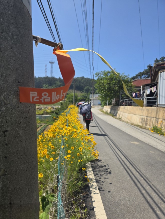 “꾸지나무골해변에서 학암포까지”