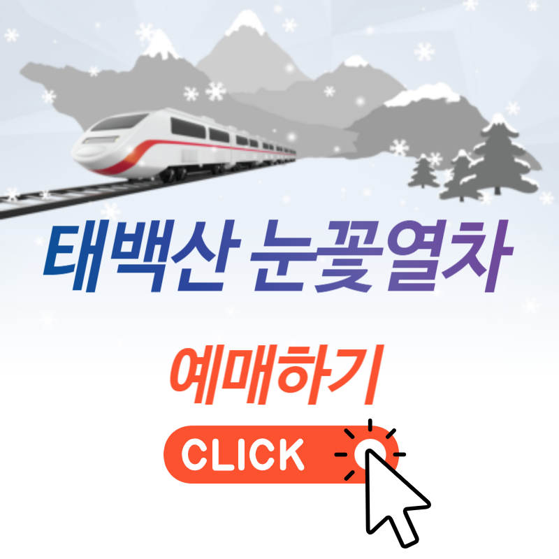 태백산 눈꽃열차 코레일 예약