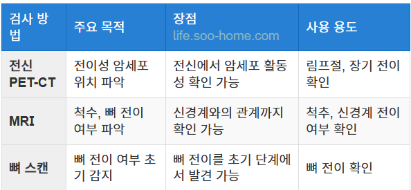 영상 검사