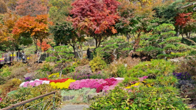 단풍명소_화담숲_하경정원