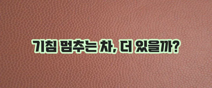 기침에 좋은 차 알아보기