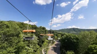 서울대공원 캠핑장 둘레길 동물원 입장료 맛집_13
