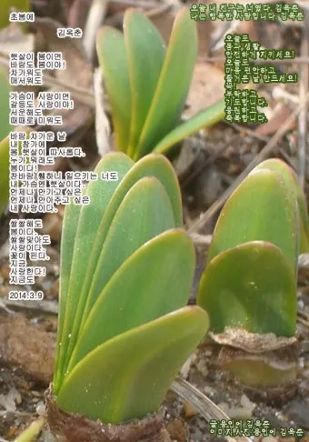 봄비 인사말 이미지 비오는날 일러스트_20