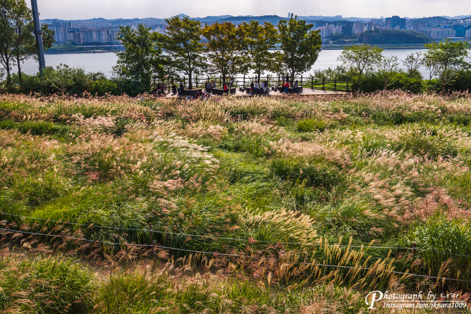 전망대에서 내려다 본 하늘공원