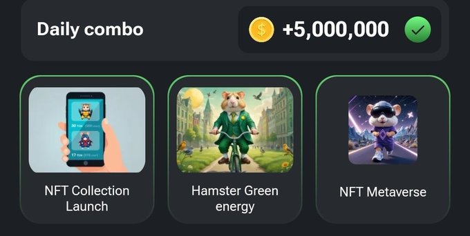 햄스터컴뱃 콤보