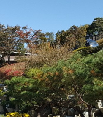 석모도 자연휴양림 숲나들e 국내 여행지 추천 관련 사진