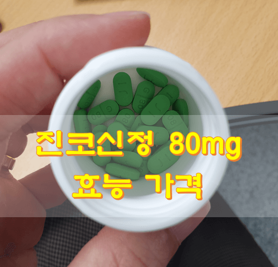진코신정-80mg-제품-사진