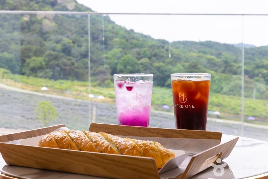 정읍 가볼만한곳