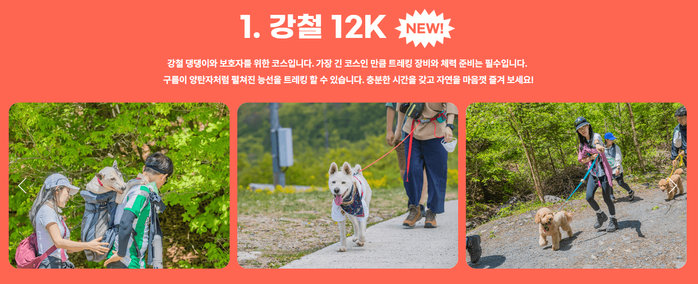 2025 댕댕 트레킹 예매 방법, 신청조건, 신청기간, 코스 안내, 장소 안내