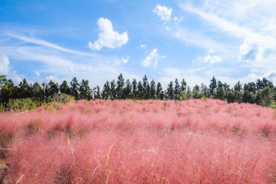 전국 가을축제 일정