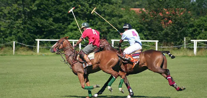 오늘은 신라 귀족들의 놀이 &lsquo;격구(擊毬)&rsquo; &ndash; 오늘날 폴로의 원형일까?