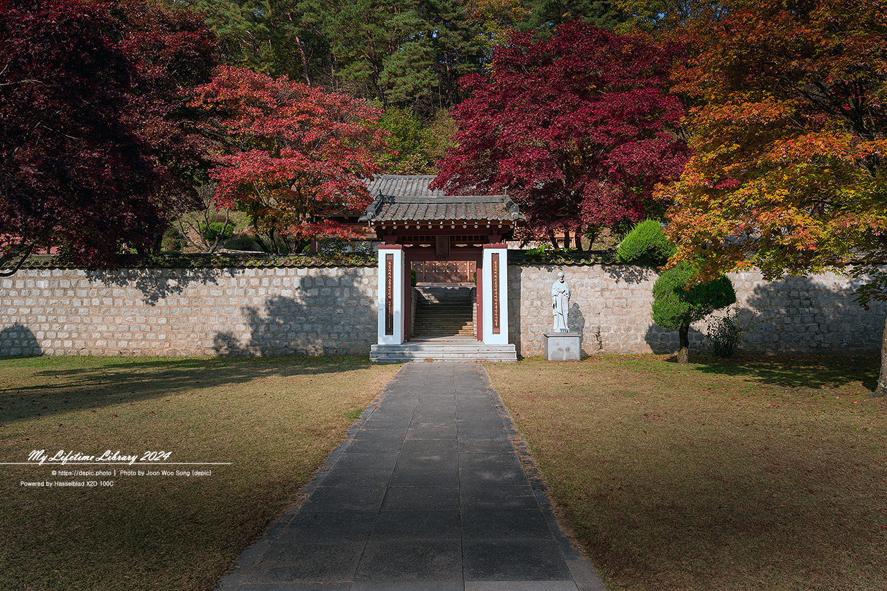 제천 배론성지 가을 단풍 은행