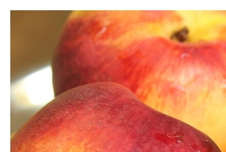 천도복숭아효능