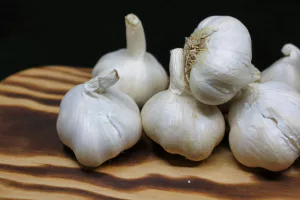 마늘사진