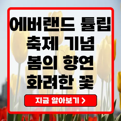 에버랜드 튤립축제
