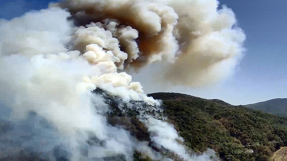 재난지원금 관련사진