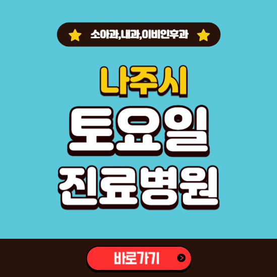 나주시 토요일 진료 병원 찾기 ❘ 주말 문여는 소아과, 내과, 이비인후과 리스트