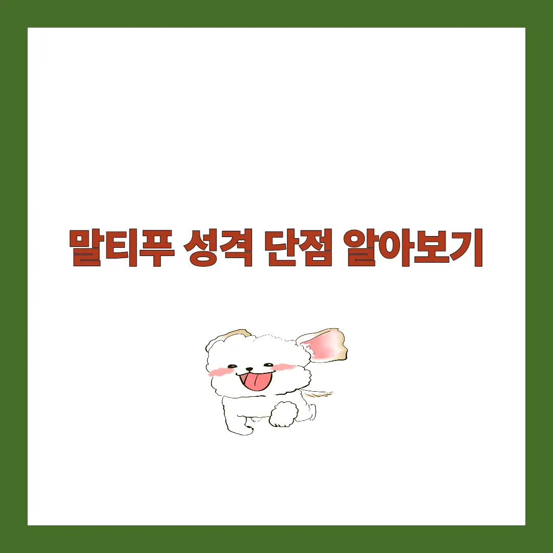 말티푸 성격 단점