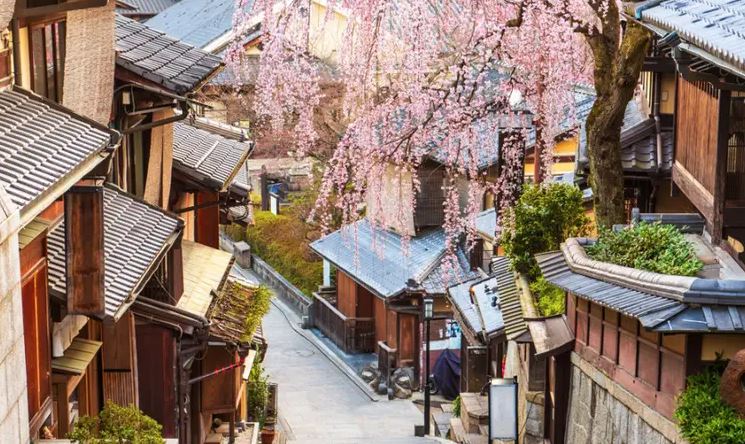 교토 기온 거리 관련 사진