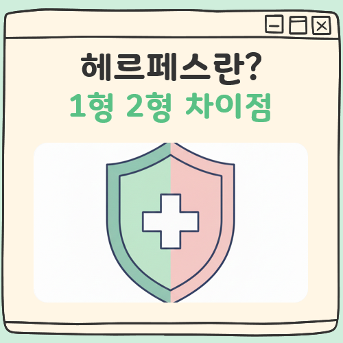 헤르페스 란 대표 이미지