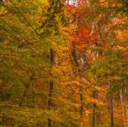 가을 단풍 구경 BEST 5 &mdash; 2025년 놓치면 아쉬울 국내 명소