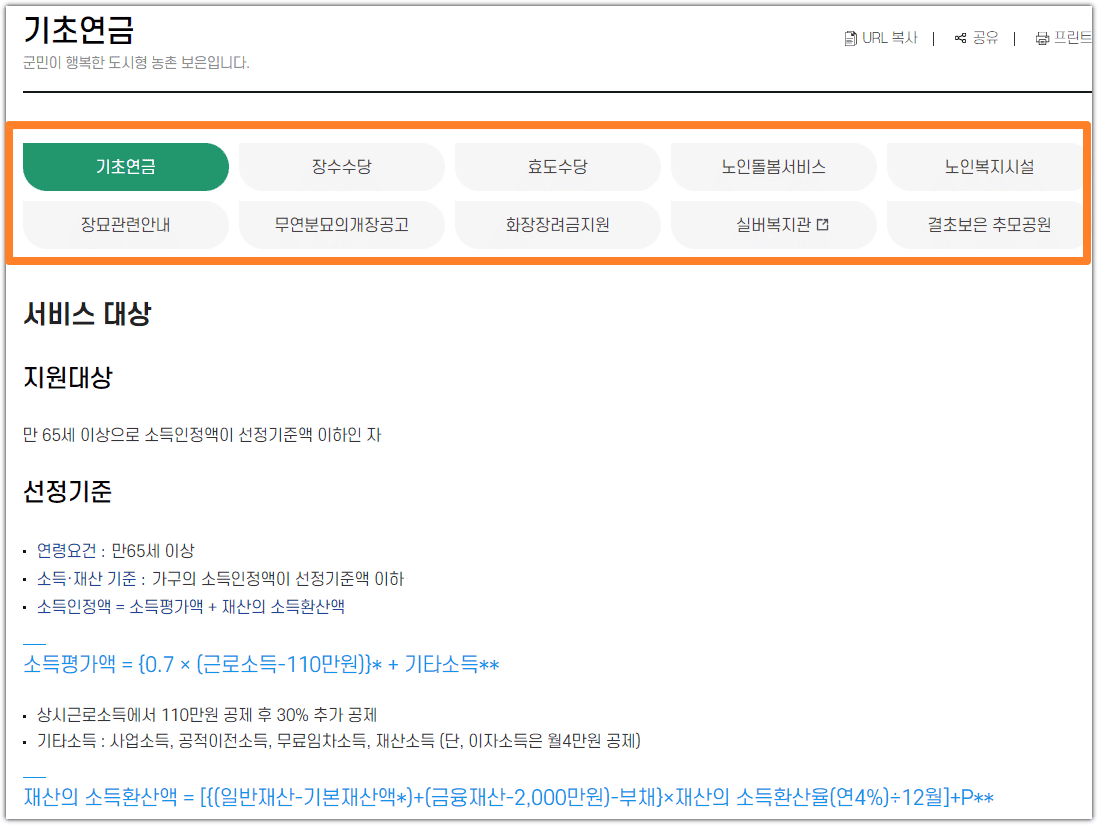보은군청 홈페이지 노인복지 기초연금