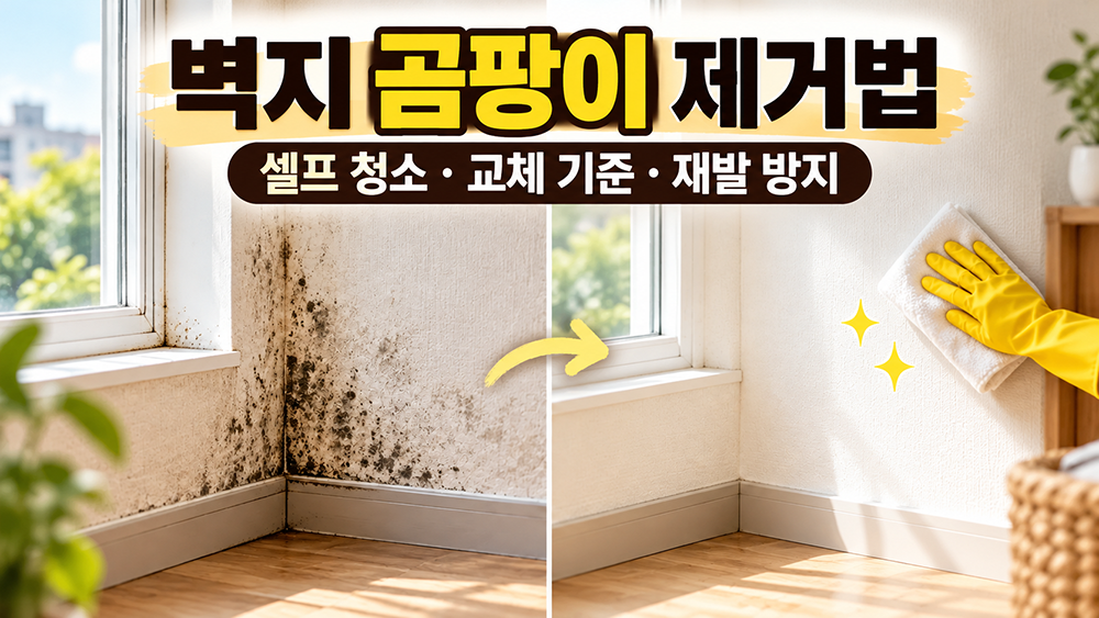 창문 주변 벽지에 검은 곰팡이가 생긴 모습과 깨끗한 벽면을 비교한 이미지로, 벽지 곰팡이 셀프 청소 가능 여부와 벽지 교체 기준, 재발 방지 방법을 안내