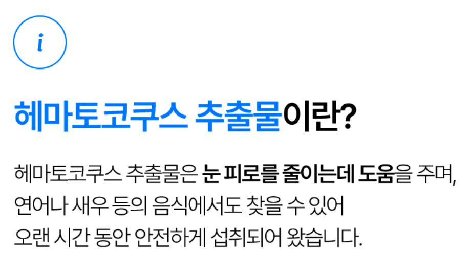 솔티스-사진4