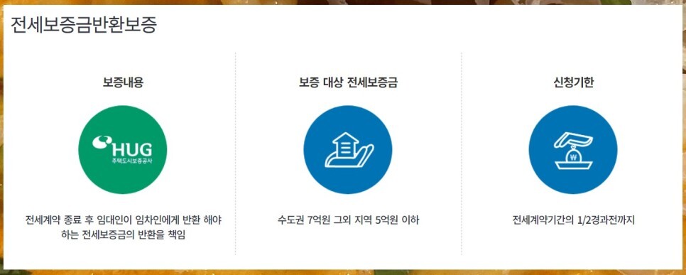 HUG 전세보증보험 가입 반환 서류 한번에 정리해봄! 갱신은 어떻게?