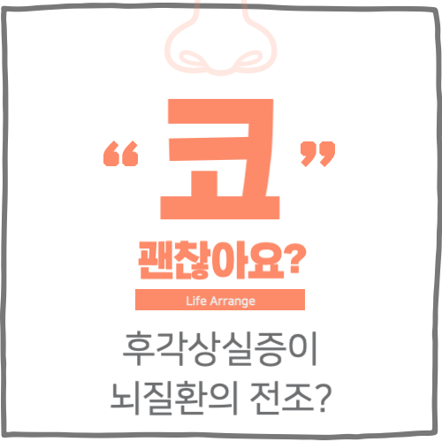 후각상실증이 뇌질환의 전조일 수 있는 이유