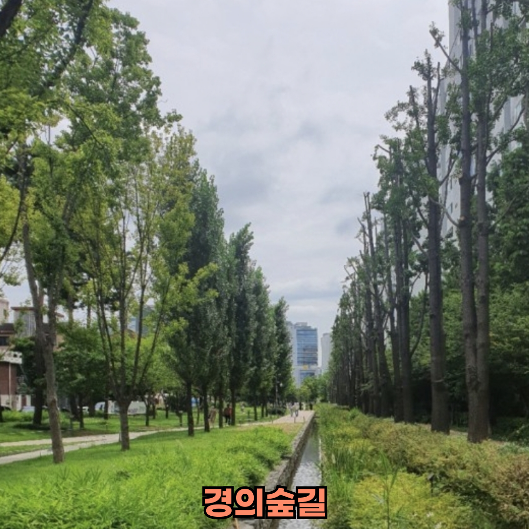 서울봄나들이핫플