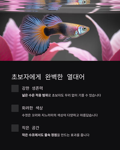왜 초보자에게 가장 적합한 열대어일까요