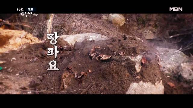 나는 자연인이다 당뇨합병증 심정지 건강 되찾은 후 산양삼 냉이 흙밟으며 맨발걷기 계곡물 자연인 원영철 소개 및 이승윤 출연 600회 다시보기