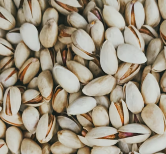 비타민E의 효능