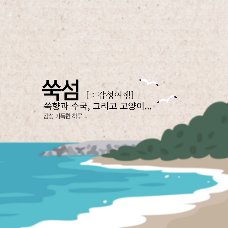 쑥섬 감성 여행