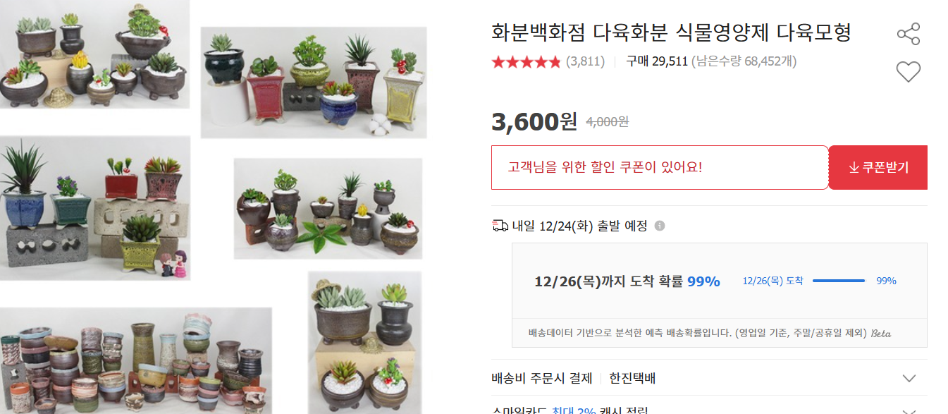 다육이 키우는 법 및 겨울철 물 주기 (+ 종류 분갈이)