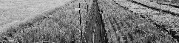 습도 관리 중요