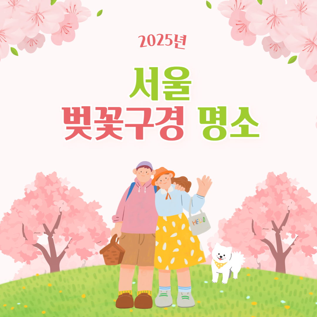 2025년 서울 벚꽃 명소 추천 (여의도 제외)