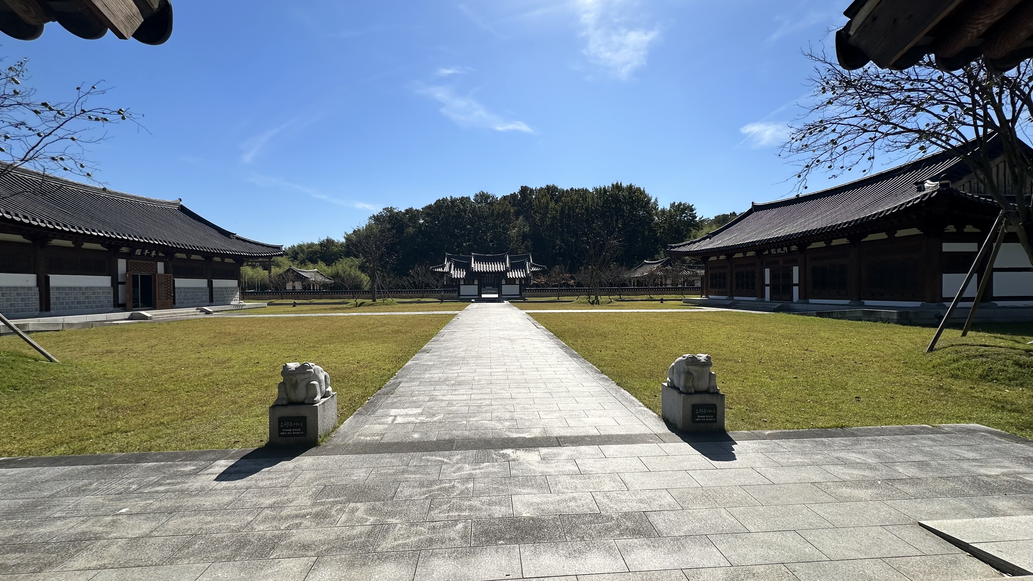 [5월 축제]2025년 담양대나무축제❘기간, 일정, 프로그램, 죽녹원