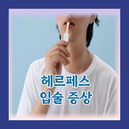 헤르페스 입술 증상