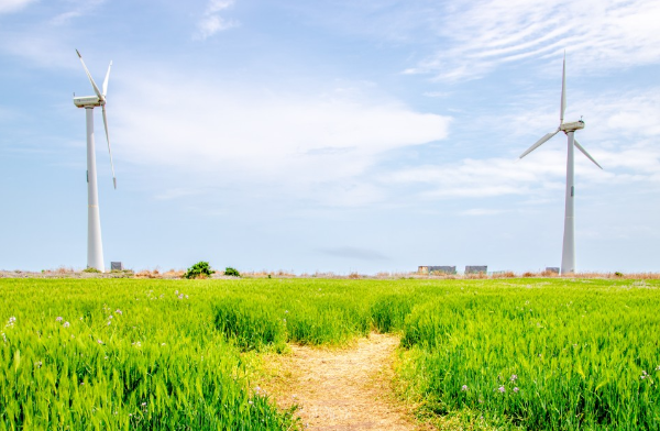 봄에 떠나기 좋은 여행지