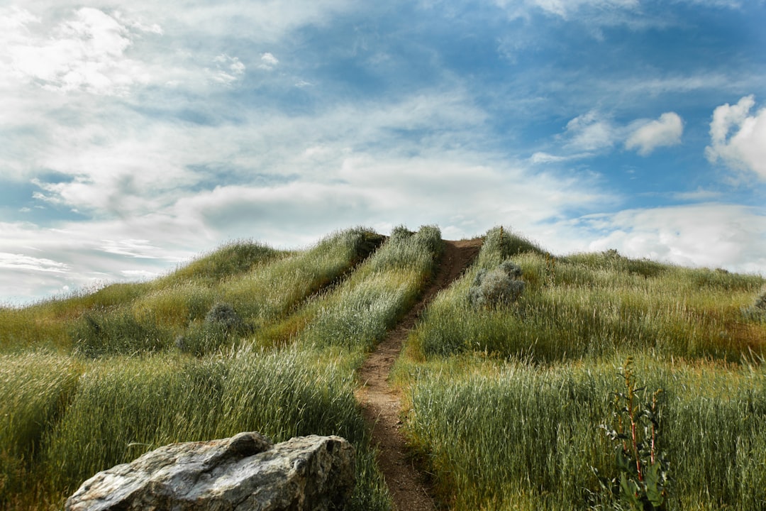 trail